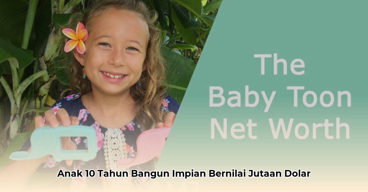 baby toon net worth